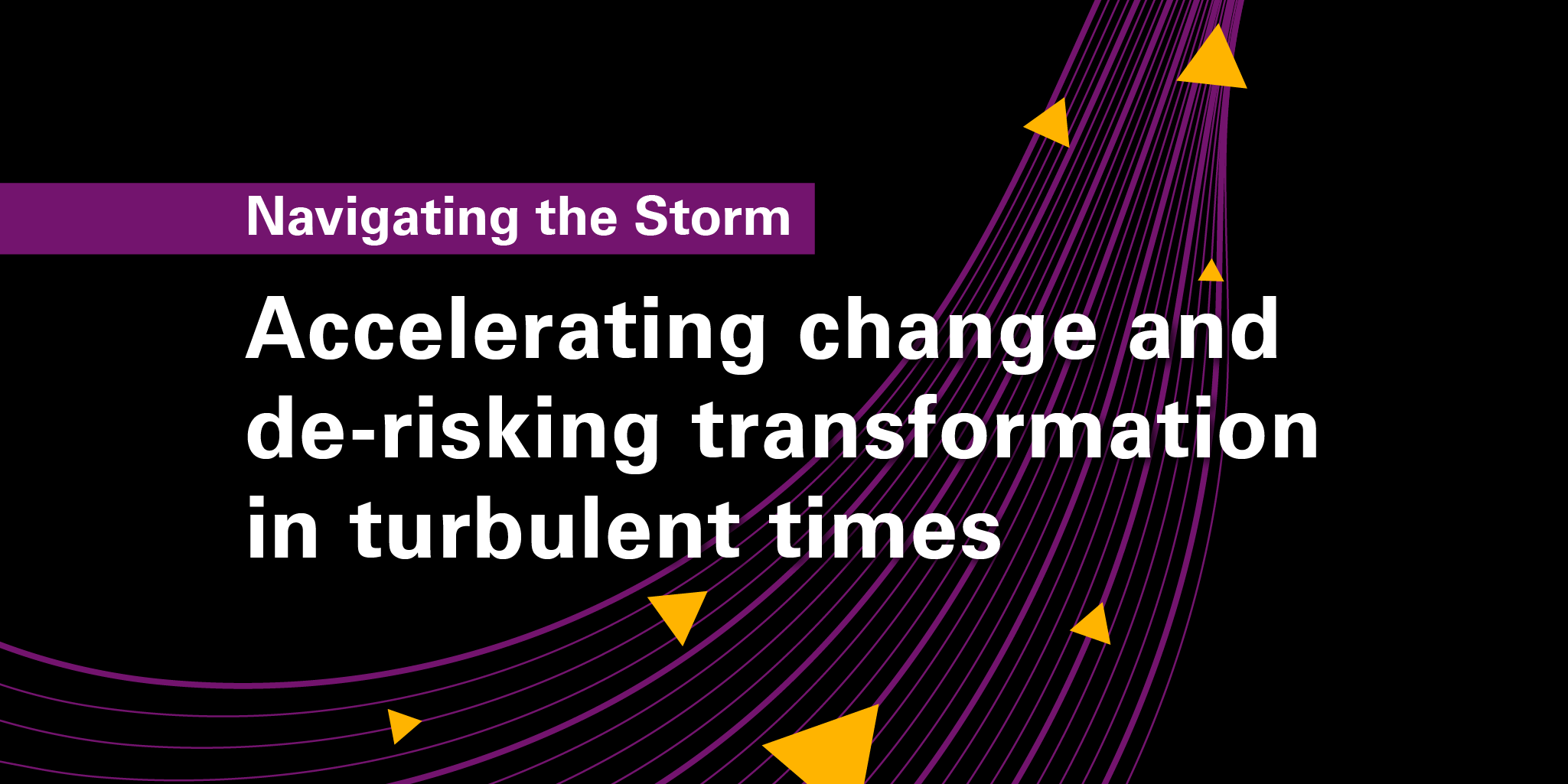 Webinar: Accelerating change and de-risking transformation during ...